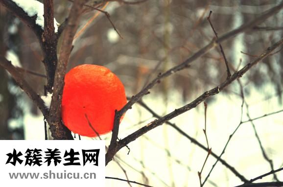 柑橘姜飲怎么制作