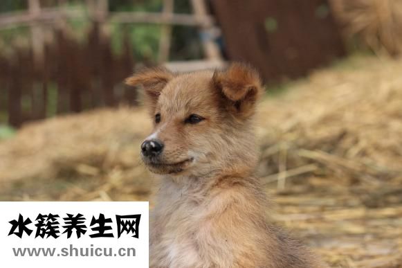 老餓是怎么回事