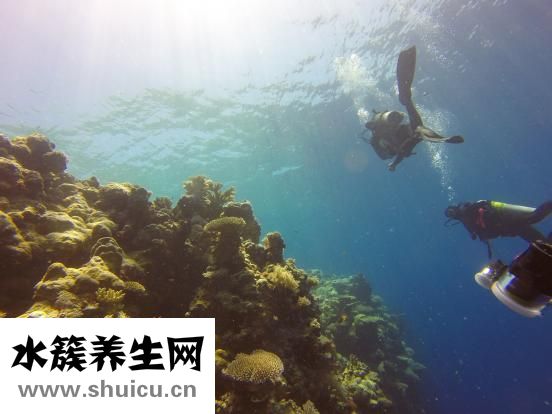 魚缸起沫沫怎么回事