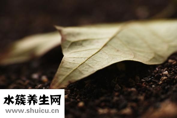 得了心肌梗塞怎么辦