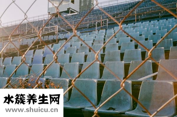 天龍八部手工怎么學