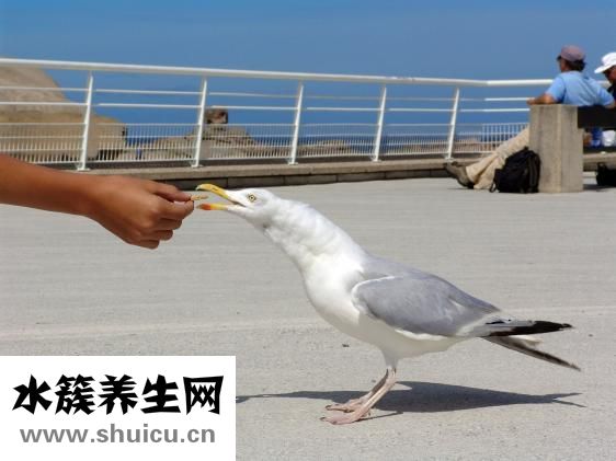 老餓是怎么回事