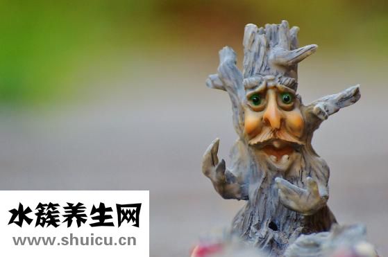 腳骨頭斷了怎么辦