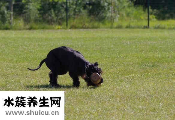 胸大下垂怎么調整