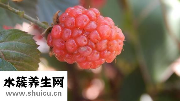 過(guò)年沒(méi)錢怎么辦