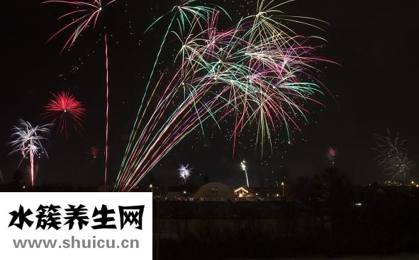 烤好的蛋撻怎么保存