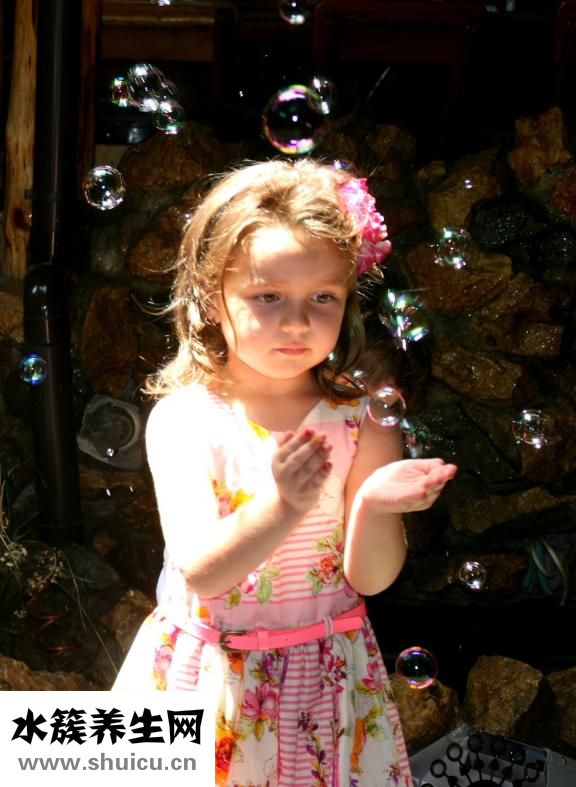 長帝打蛋器怎么安裝