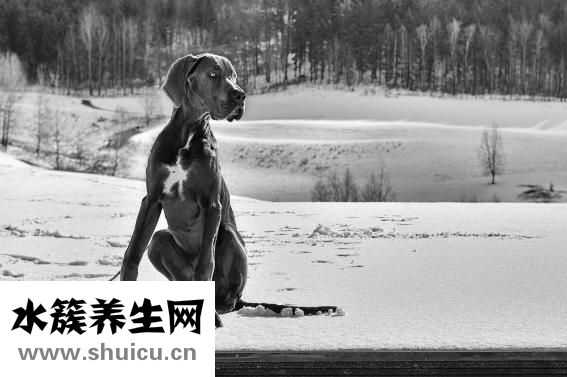 白色運動褲怎么搭配