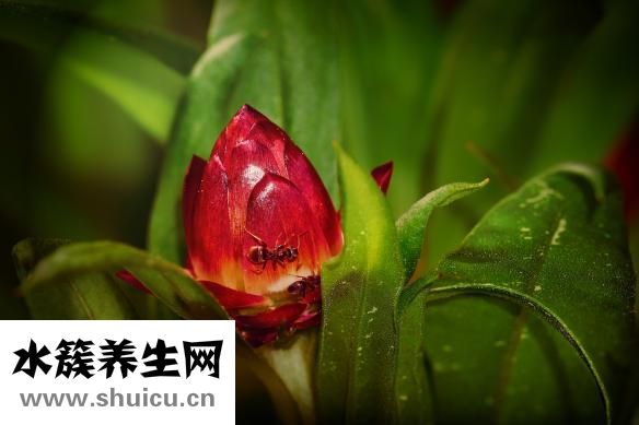 身體太虛了怎么辦