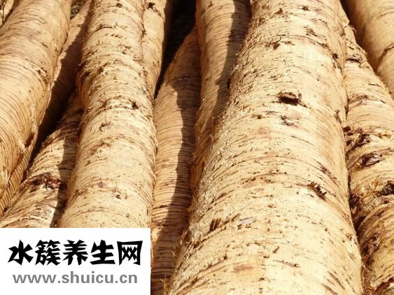 麻杏石甘湯怎么弄