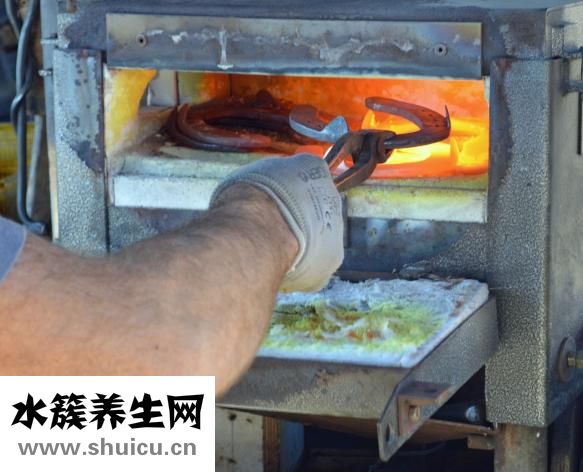 面包變硬怎么辦