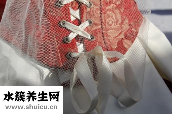 一個月金毛怎么養