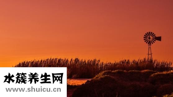 東湖保健醋怎么吃