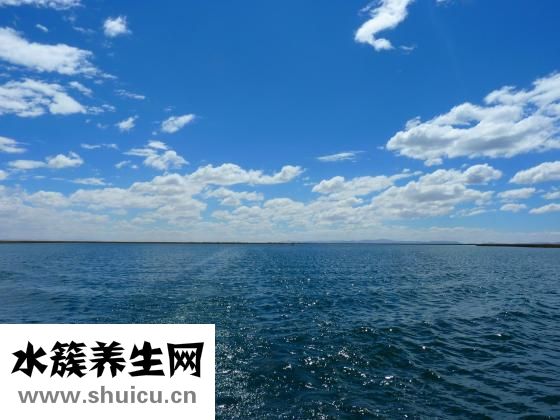 八字夾怎么盤發