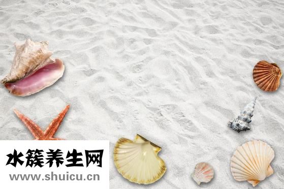 冰凍扇貝肉怎么洗