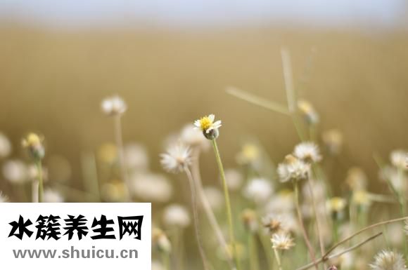 兒童老不吃飯怎么辦