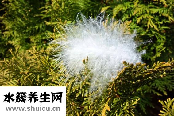 保留指數怎么查