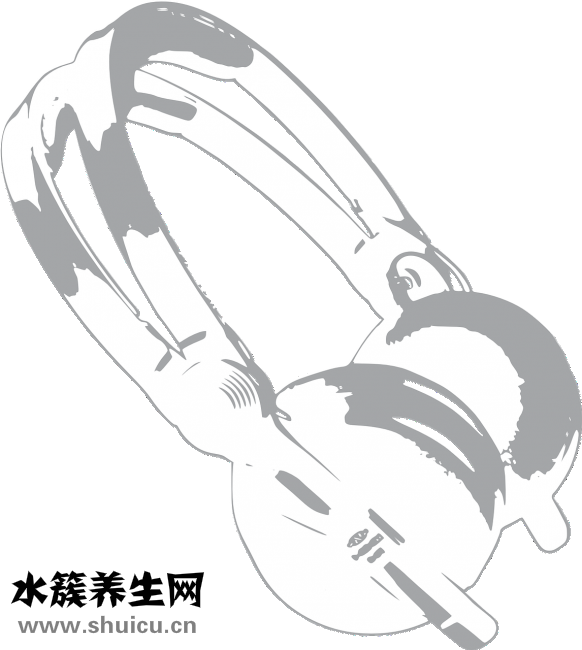 人被撞了怎么辦