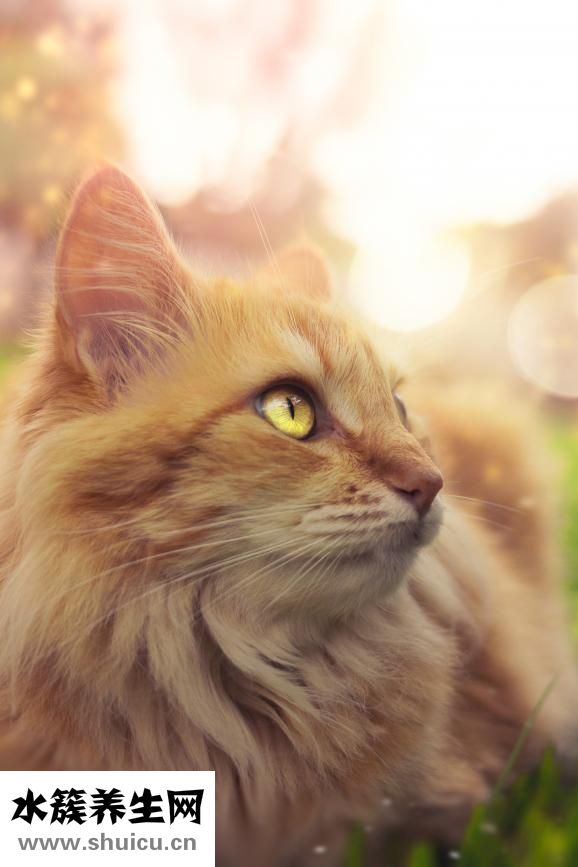 保留指數怎么查