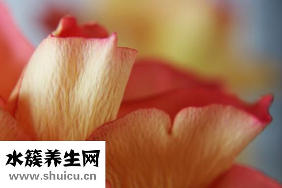 不能持久怎么辦