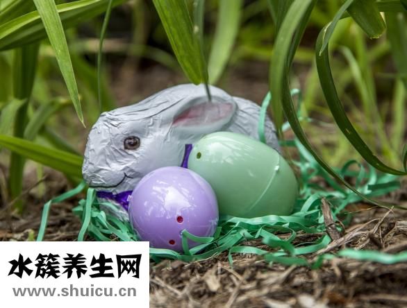 咸兔子肉怎么燒