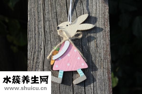 咸兔子肉怎么燒