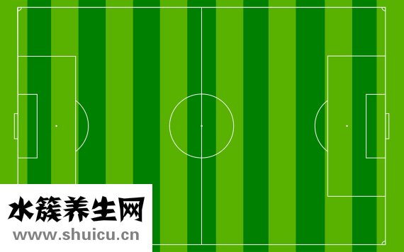 單位結(jié)婚證明怎么寫