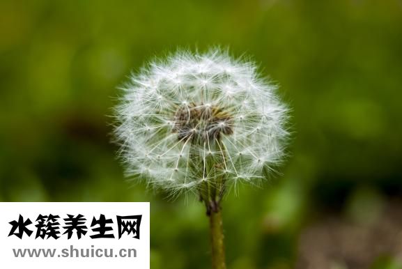 乳暈干燥怎么辦