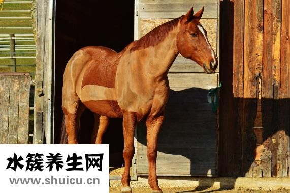 剃須刀怎么用啊