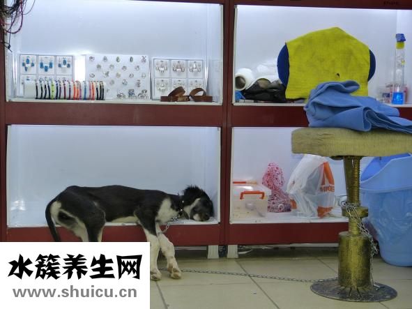 倒翻上床怎么做