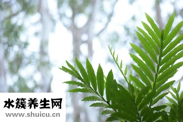 去痣前怎么檢查