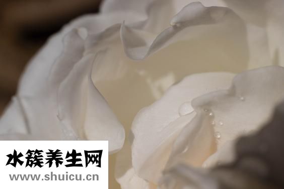 怎么去除閉合性粉刺