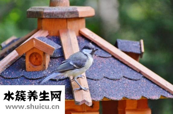 辣椒面糊怎么做