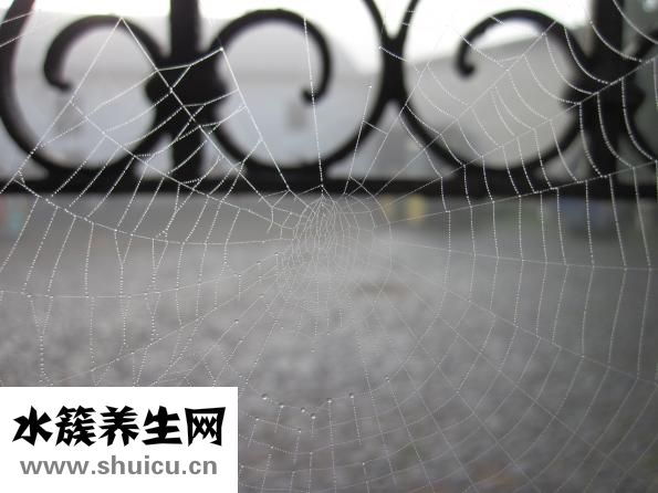 怎么去除閉合性粉刺