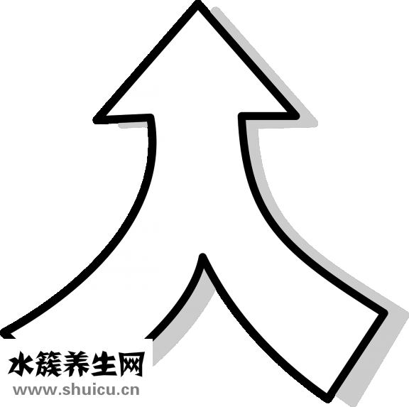 怎么分別痣相的左右