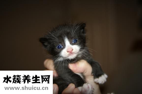 敷眼膜過(guò)敏怎么辦