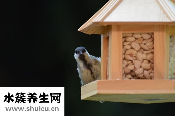 辣椒面糊怎么做