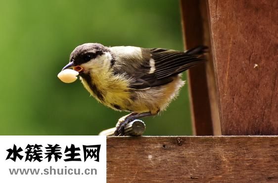 辣椒面糊怎么做