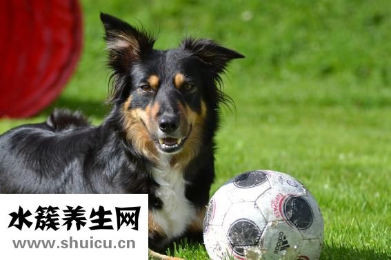 繡眼線發青怎么辦