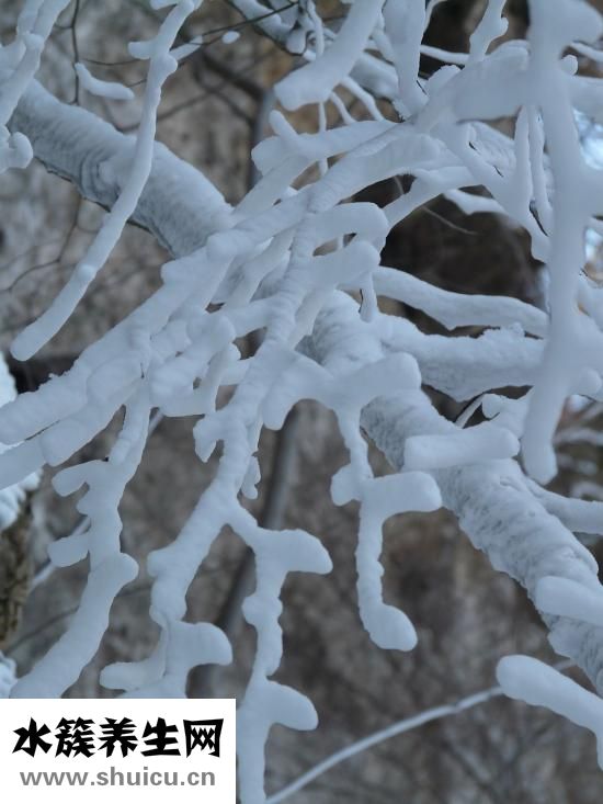 溜完冰后頭疼怎么辦