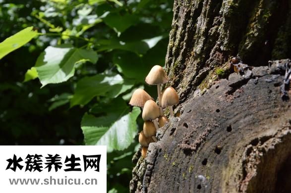 指甲癢是怎么回事