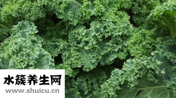 球芽甘藍(lán)怎么吃