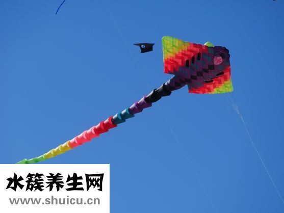 怎么瘦手臂三角肌