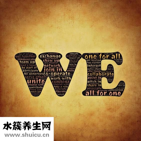 社會撫養費怎么算