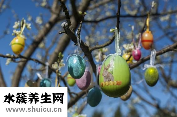 微波爐怎么做腸粉