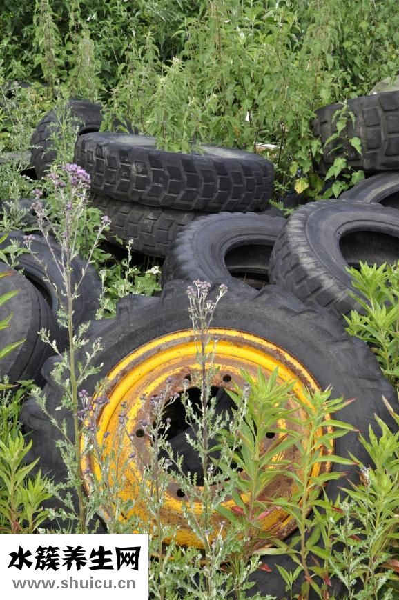 菱角怎么保存時間長