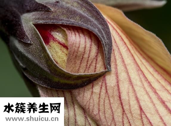 找不到眼鏡怎么辦