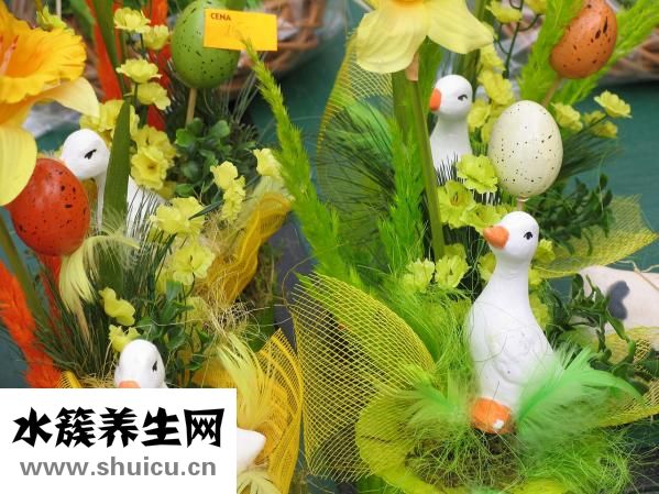 豬腰子怎么煮面