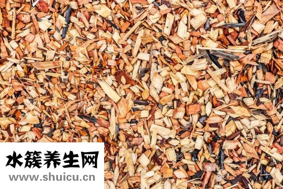 木頭味怎么除掉