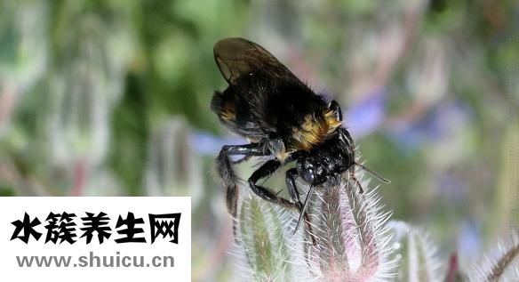 怎么讓嘴巴變好看